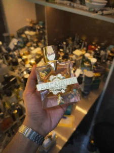 X Xandal Aromatix x French Avenue