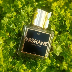 Ani Nishane
