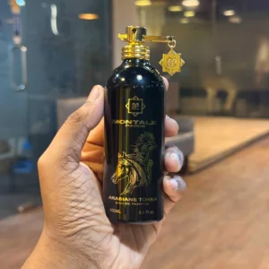 Arabians Tonka Montale