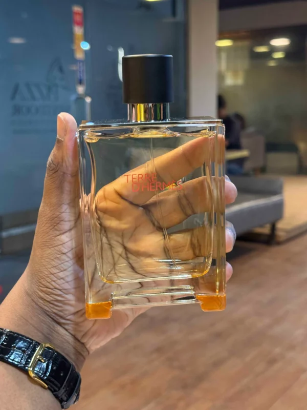 Terre d'Hermès Hermès EDT